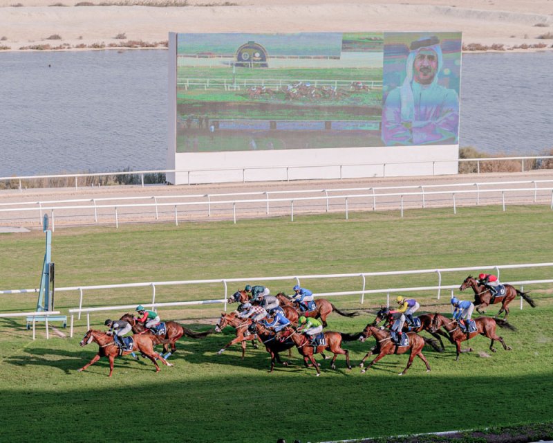 الجياد المرشحة تحقق كؤوس خالد بن حمد ونجليه فيصل وعبدالله