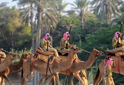 شرطة البحرين تجسد الشراكة المجتمعية بعروض لطابور المنامة ومقطوعات موسيقية وطنية ‎