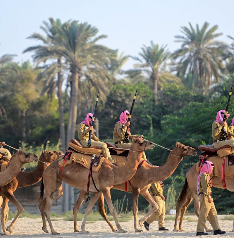 شرطة البحرين تجسد الشراكة المجتمعية بعروض لطابور المنامة ومقطوعات موسيقية وطنية ‎