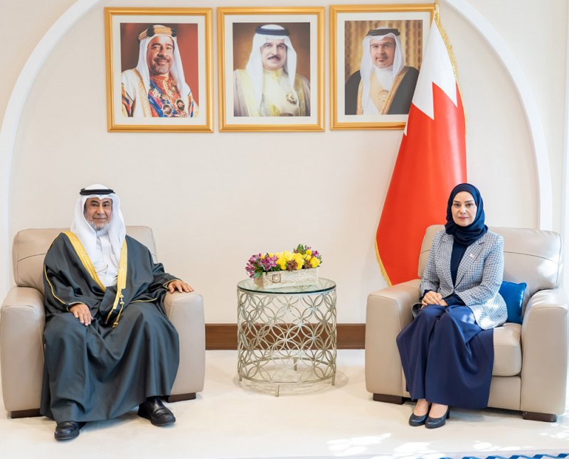 المسيرة الديمقراطية آخذة في التقدم استنارة برؤى جلالة الملك المعظم