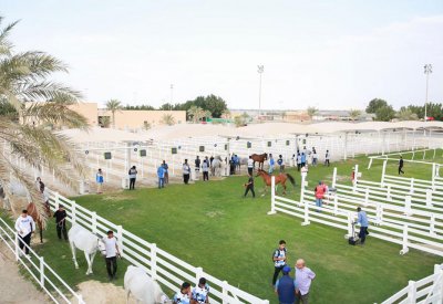 السبت انطلاق بطولة العيد الوطني لسباقات القدرة والعيون نحو منصة التتويج