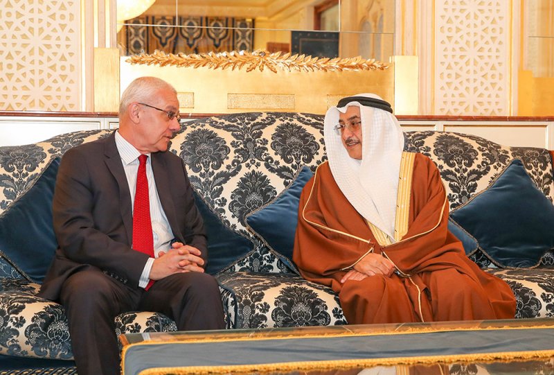 توطيد العلاقات مع التشيك في مختلف المجالات