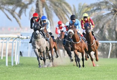 منافسات منتظرة على كؤوس العيد الوطني والحواج والرميحي والوسمية