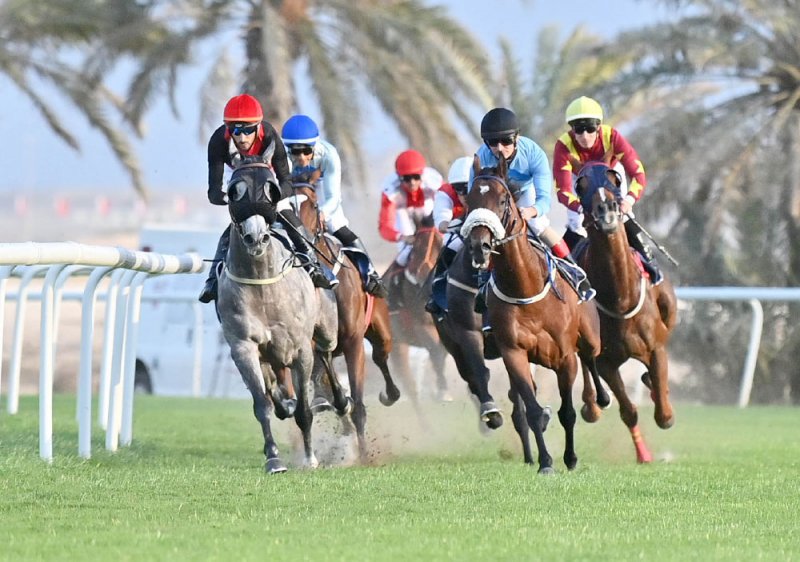 منافسات منتظرة على كؤوس العيد الوطني والحواج والرميحي والوسمية