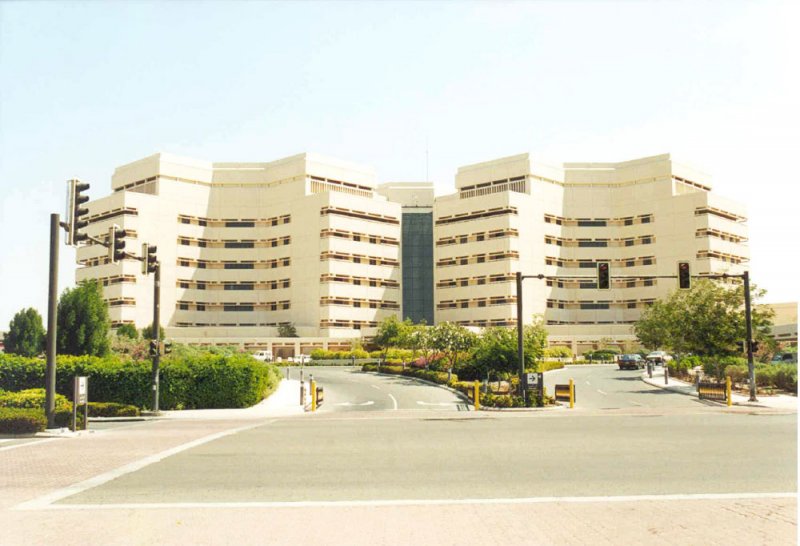 جامعة عربية ضمن “أفضل 100” لدراسة “الأعمال”