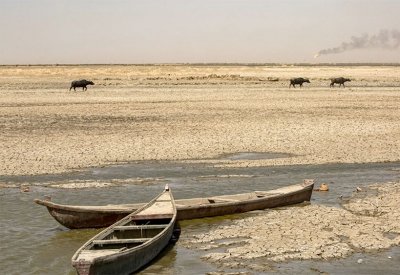 أزمة المياه في 2022.. عصب الحياة في خطر