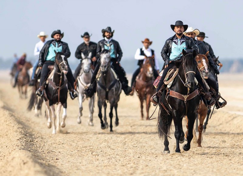 فعالية "الكشتة" تجذب محبي ركوب الخيل ورياضات الكاوبوي