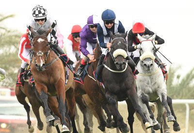 في السباق الـ14 لموسم الخيل: مشاركة كبيرة للفوز بكؤوس مونتريال للسيارات والنادي