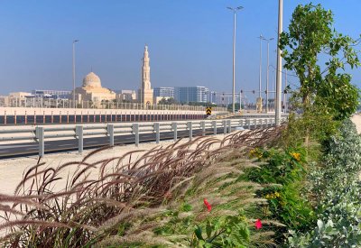 ديار المحرق: اكتمال تشجير الطريق المتصل بمدخل المدينة