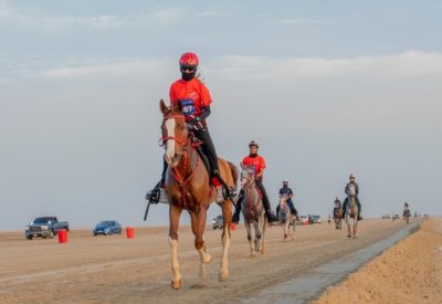 تنظيم مسابقة أفضل حالة جواد لسباق خالد بن حمد للإسطبلات الخاصة