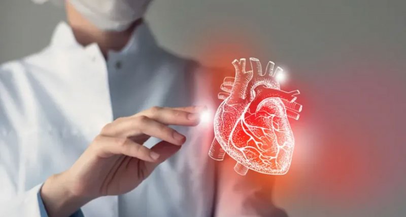 بأرقام دقيقة.. اختبار سريع يكشف العمر الفعلي لعضلة قلبك