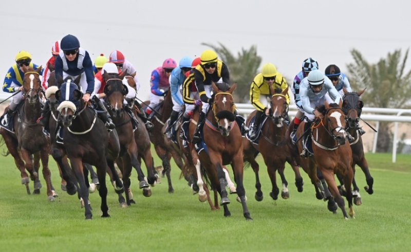 نادي راشد للفروسية وسباق الخيل ينظم السباق السادس عشر يوم الجمعة القادم