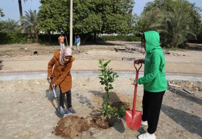 تطوير ساحل أبو صبح ليكون غابة خضراء