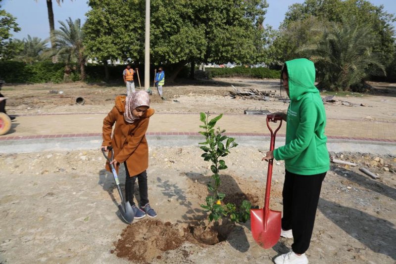 تطوير ساحل أبو صبح ليكون غابة خضراء
