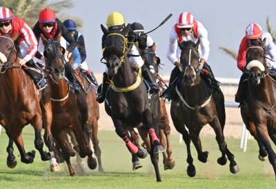نادي راشد للفروسية وسباق الخيل ينظم السباق السابع عشر لهذا الموسم