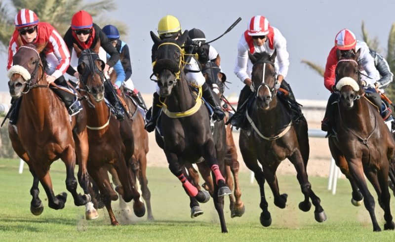 نادي راشد للفروسية وسباق الخيل ينظم السباق السابع عشر لهذا الموسم