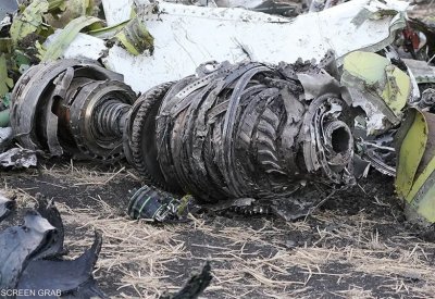 الطيور سبب تحطم "بوينغ 737 ماكس" في أديس أبابا