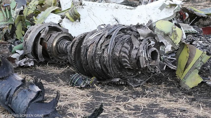 الطيور سبب تحطم "بوينغ 737 ماكس" في أديس أبابا