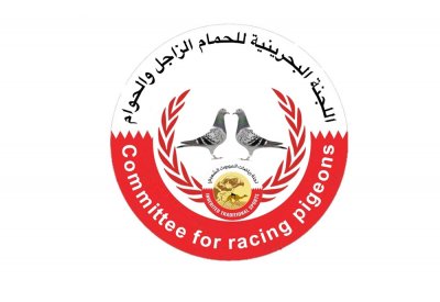 2200 حمامة في سباق القليب الثاني للحمام الزاجل