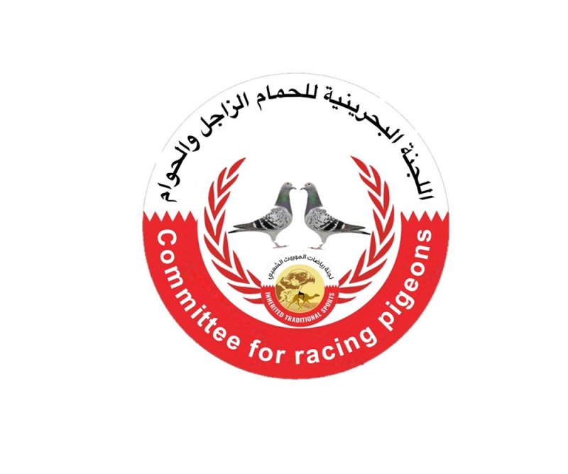 2200 حمامة في سباق القليب الثاني للحمام الزاجل