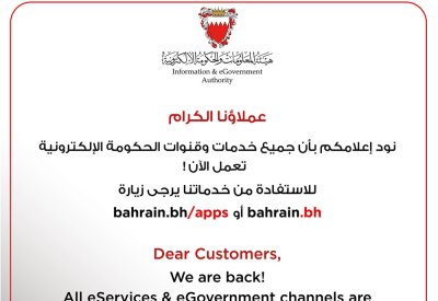 عودة جميع خدمات وقنوات "الحكومة الإلكترونية" للعمل