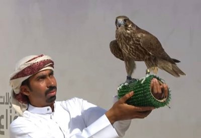 صقارو البحرين يواصلون الإنجازات في كأس محمد بن راشد للصقور