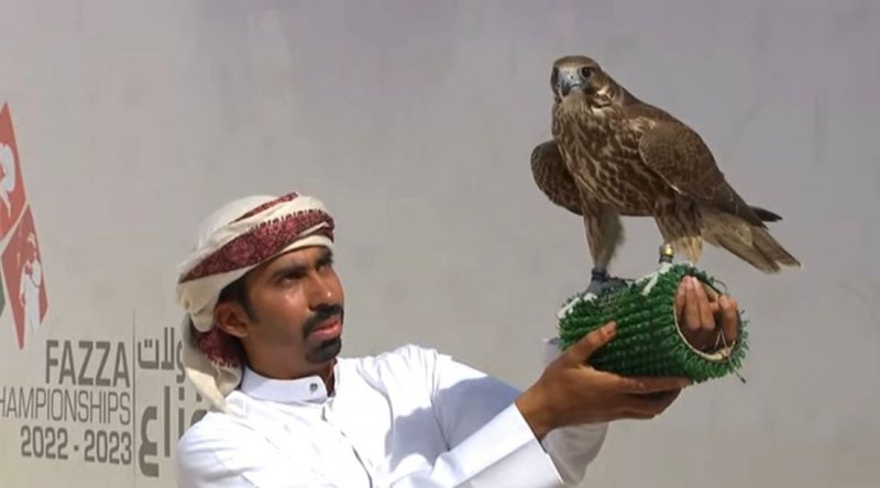 صقارو البحرين يواصلون الإنجازات في كأس محمد بن راشد للصقور
