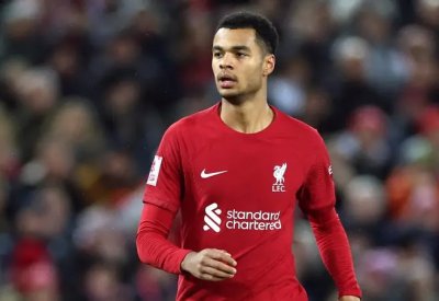 مدرب هولندا: غاكبو انتقل إلى ليفربول "مبكراً"