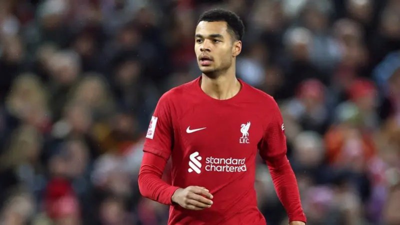 مدرب هولندا: غاكبو انتقل إلى ليفربول "مبكراً"