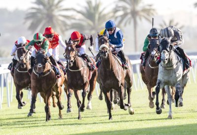 اليوم كأس صحيفة “البلاد” في السباق الــ 20  للخيل