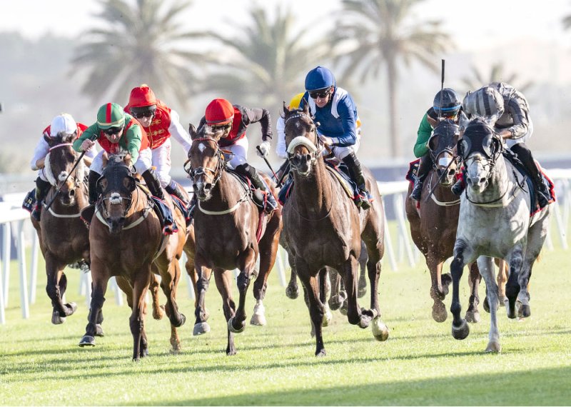 اليوم كأس صحيفة “البلاد” في السباق الــ 20  للخيل