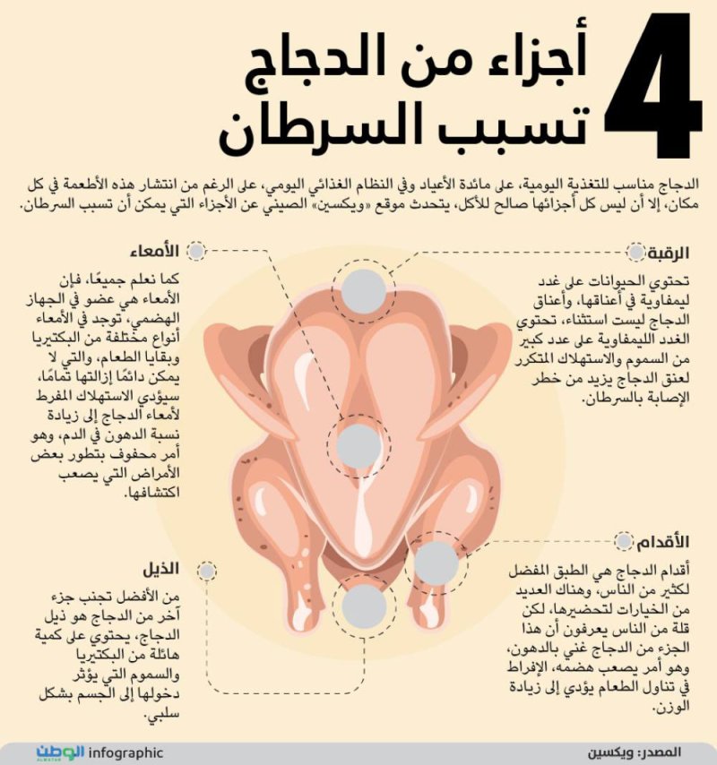 أجزاء من الدجاج تسبب السرطان.. تعرف عليها
