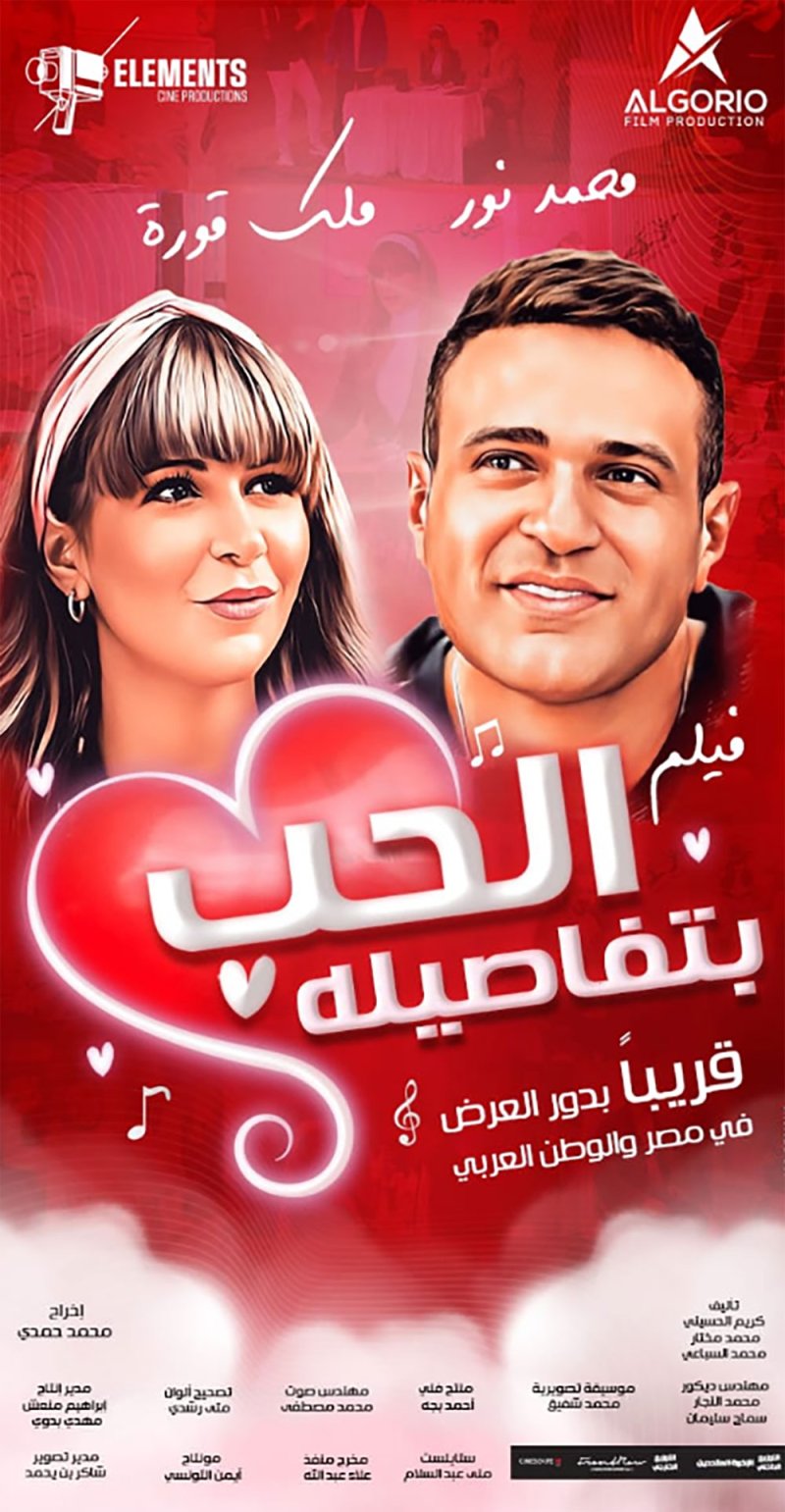 فشل فيلم “الحب بتفاصيله”