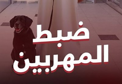 مدير إدارة الأمن الجمركي لـ"البلاد": تدريب كلاب الأثر على كشف عمليات تهريب الأموال