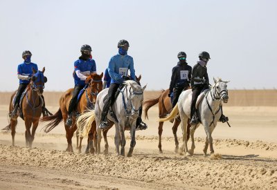 السبت السباق الكبير على كأس جلالة الملك المعظم للقدرة لمسافة 160 كم