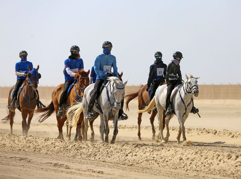 السبت السباق الكبير على كأس جلالة الملك المعظم للقدرة لمسافة 160 كم