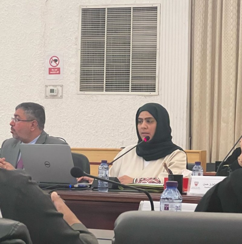 الانتهاء من المخططات التفصيلية للمناطق غير المصنفة العام المقبل