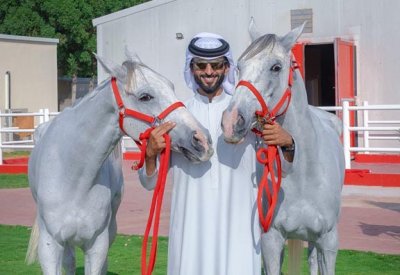 ناصر بن حمد يحتفل باستقبال جياد الفريق الملكي بعد الفوز ببطولة العالم للقدرة