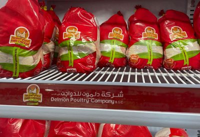 "دلمون للدواجن" توزع 153 ألف دينار أرباحا نقدية على المساهمين