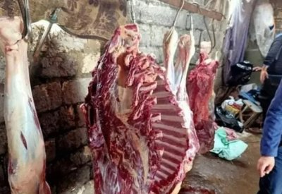 تباع بـ160 جنيهًا.. لحوم أحصنة تشغل المصريين