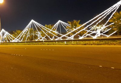 بلدية المنطقة الجنوبية تزين الشوارع الرئيسية المؤدية للحلبة وتزرع  ٥٠٧ شجرة