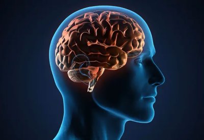 خبر سار.. ابتكار علمي يعزز إصلاح الأنسجة التالفة بالمخ