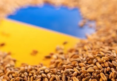 أرباح تجار السلع تسجل مستوى قياسياً خلال العام الأول للحرب الروسية الأوكرانية