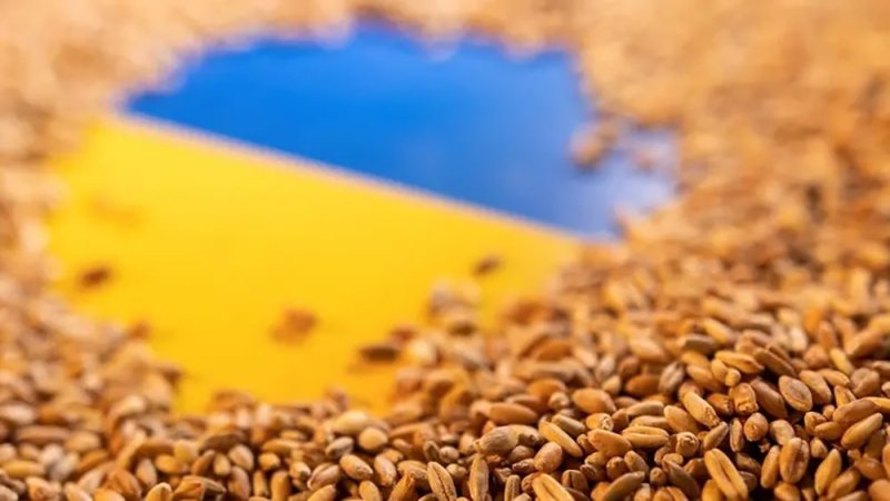 أرباح تجار السلع تسجل مستوى قياسياً خلال العام الأول للحرب الروسية الأوكرانية