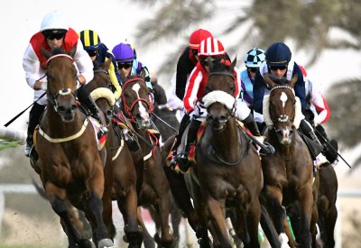 جلالة الملك يرعى سباق الخيل الكبير: صراع الأبطال ونخبة الجياد والفرسان على أغلى الكؤوس