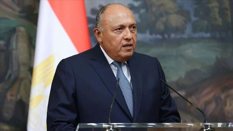 وزير الخارجية المصري: مفاوضات سد النهضة لم تؤت ثمارها