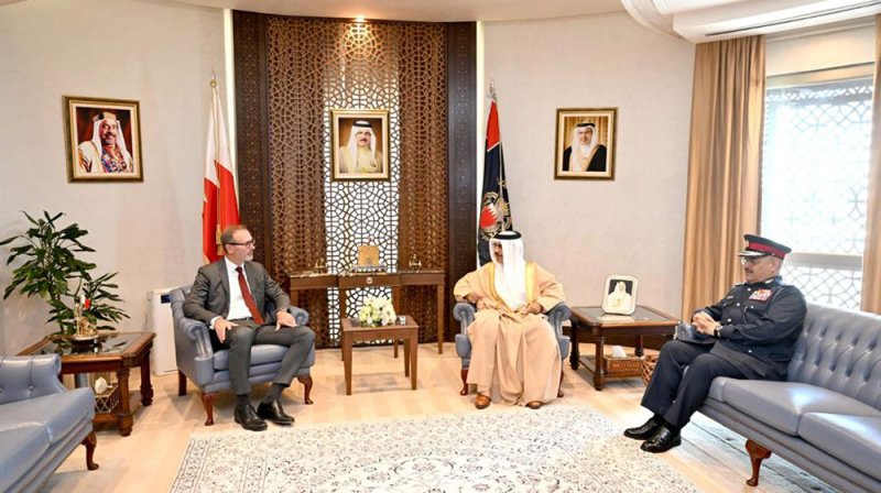 وزير الداخلية يستقبل السفير الألماني