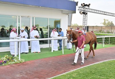 ‏‎‎نجاح متميز لأول مزاد للخيل بنادي راشد للفروسية وسباق الخيل