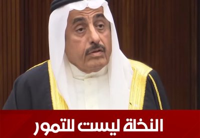 بالفيديو: النعيمي: النخلة ليست فقط للتمور  و60% من إنتاج النخلة أعلاف