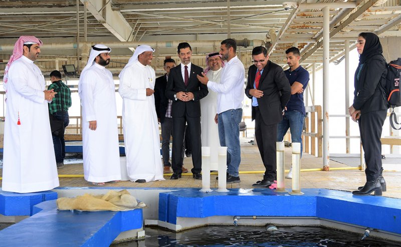 إطلاق أكثر من 30 ألف سمك ميد و1000 سمك هامور كبير
